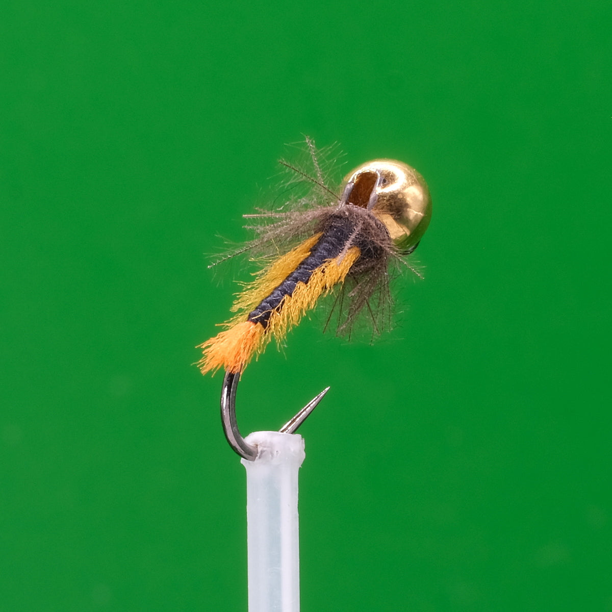 Larwy jętki wolframowej