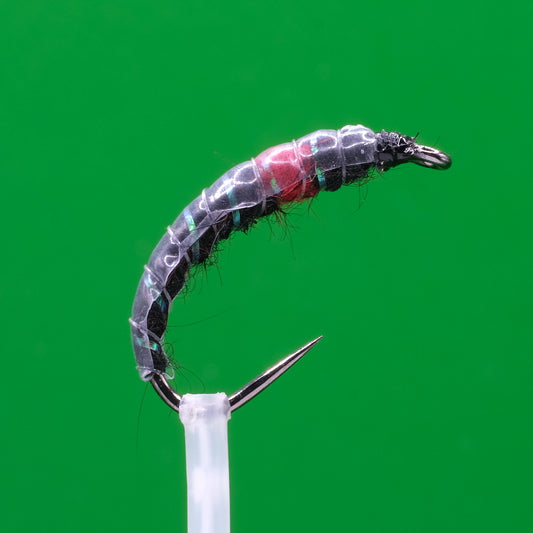 Czech Nymph Bibbio