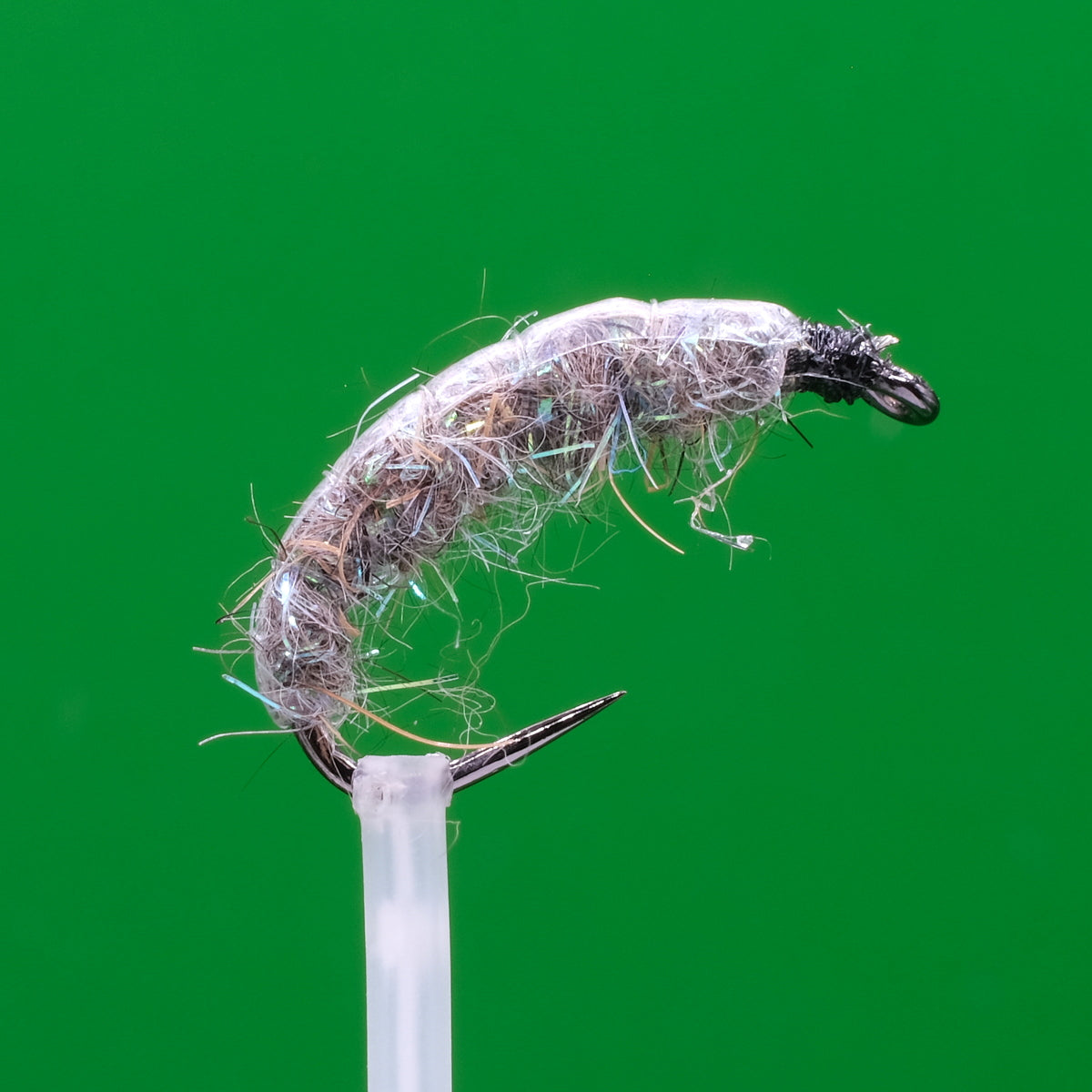 Czeska nimfa Sparkle