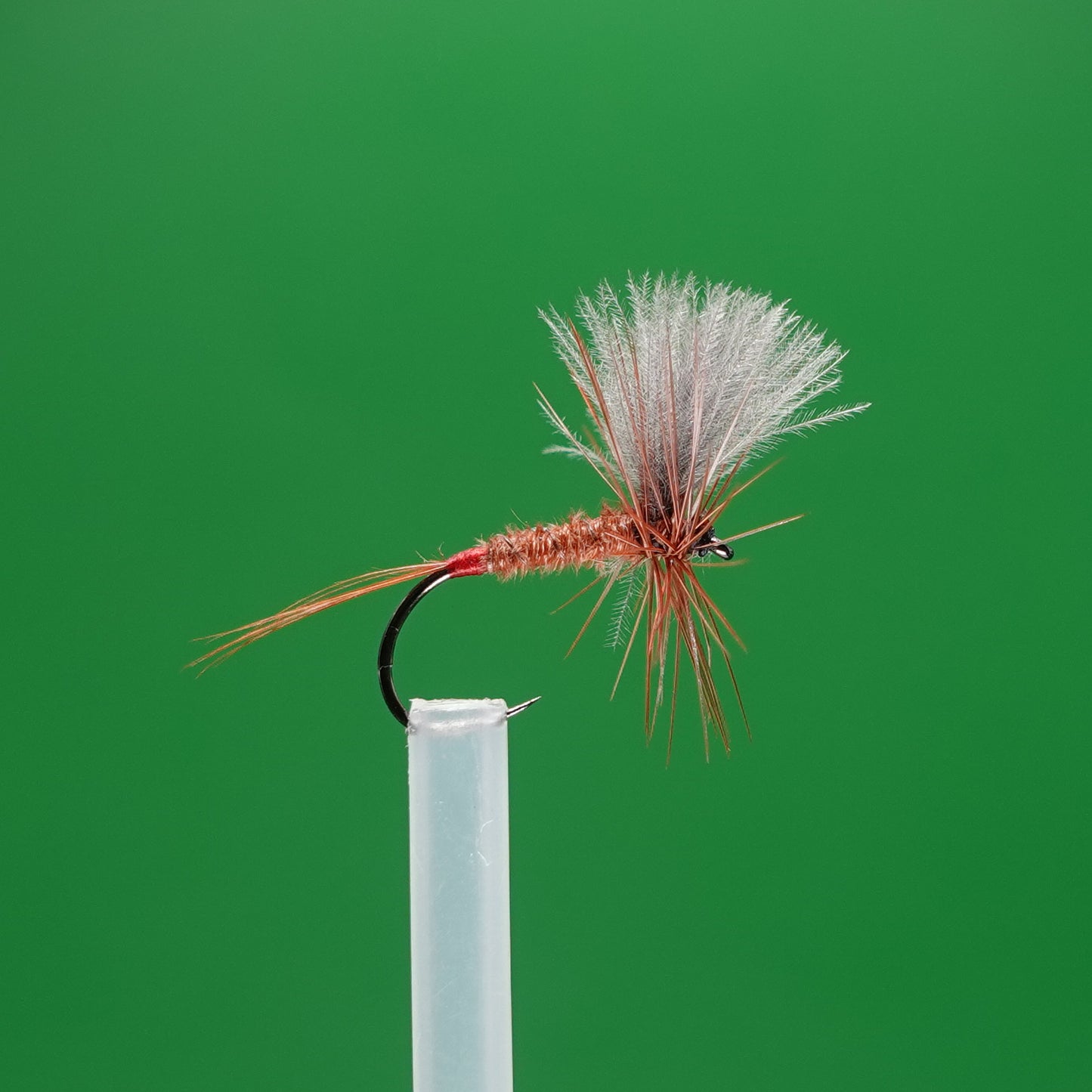 Gorące miejsce CDC na gęsie ciało Dun Brown