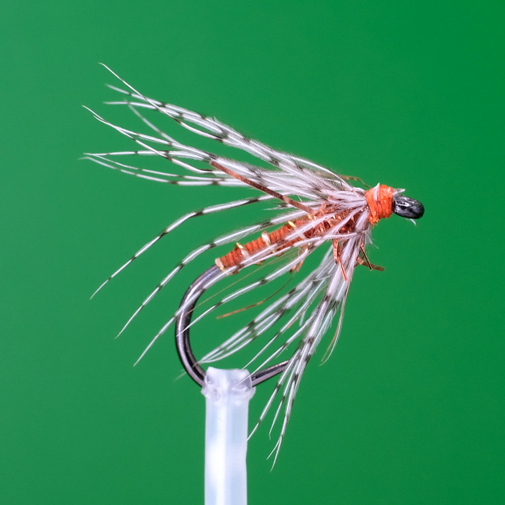 Kuropatwa i pająk pomarańczowy