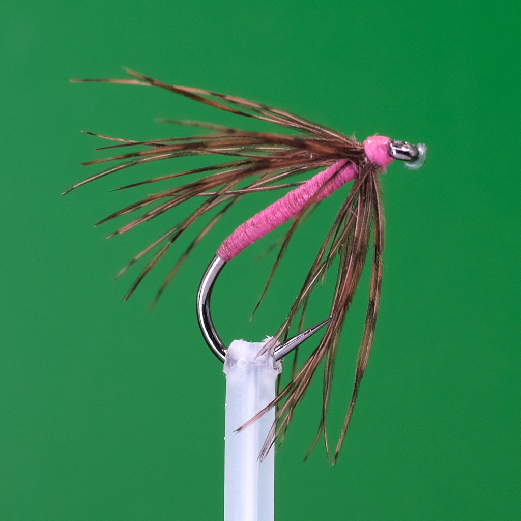 Bekas i Różowy Pająk