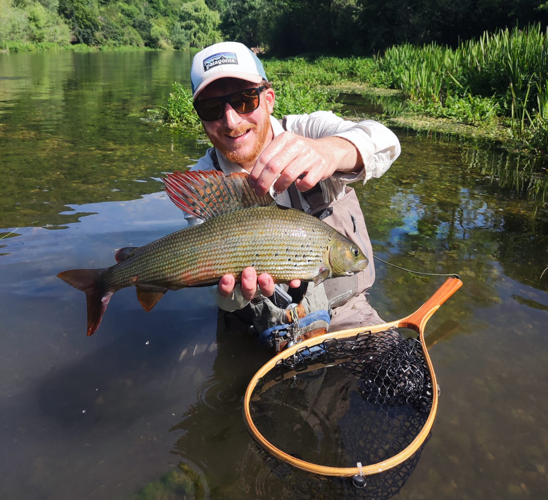 Grayling Dry Fly Fishing - Bosnia Ribnik River