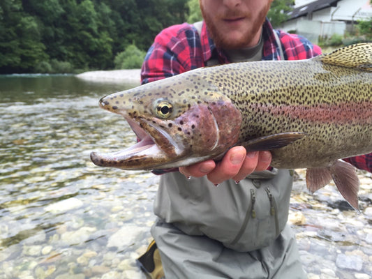 Dry Fly Tactics for Spring Fishing