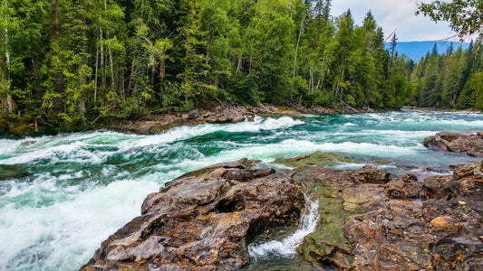 Reading the river - fly fishing tips