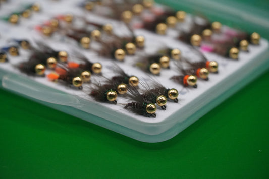 LIMITED EDITION Euronymphing 63 Tungsten Nymphs Jigs Fly Box
