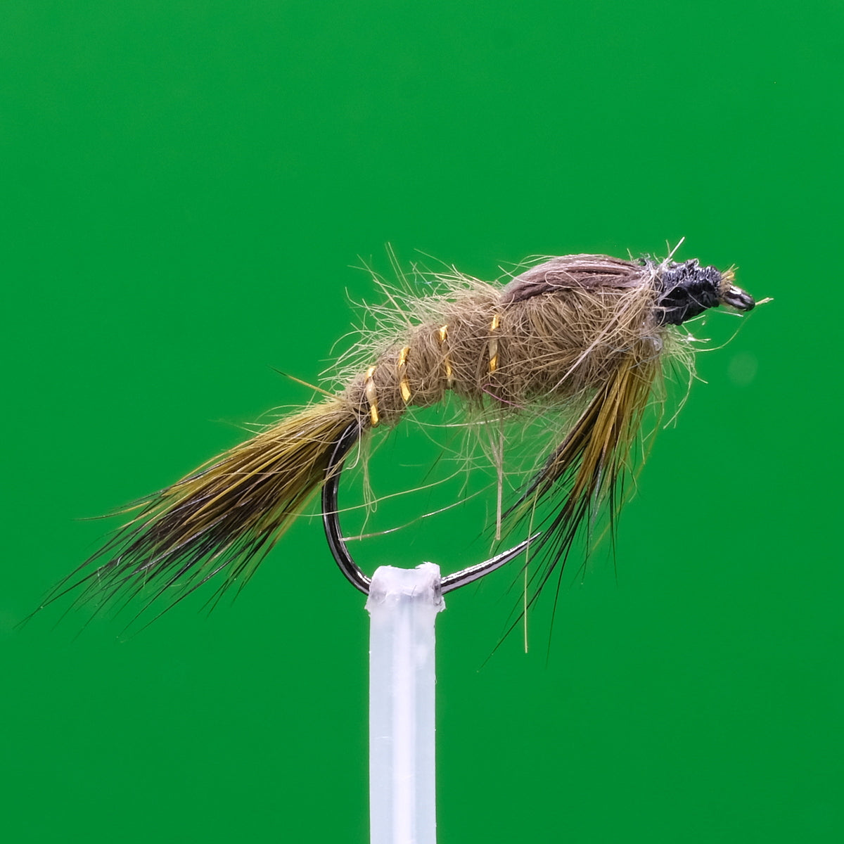 Obciążone ucho zająca oliwkowe