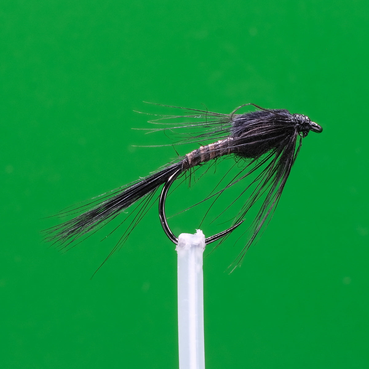 Black Quill Nymph