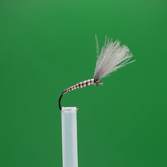 Peacock Eye Quill CDC Emerger