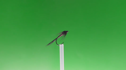 Black Quill Nymph
