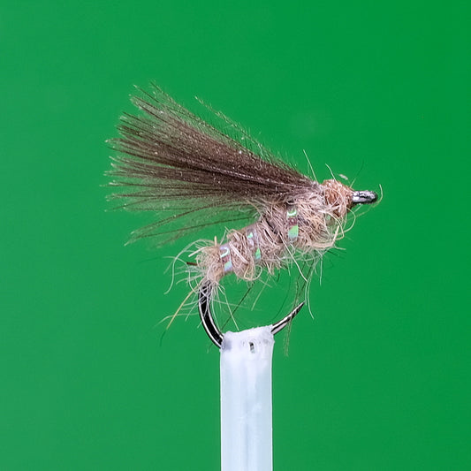 CDC F Fly Oreille de lièvre