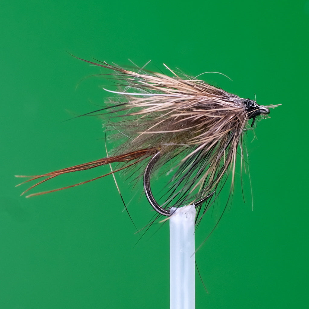 Olive Scruffy CDC Sedge