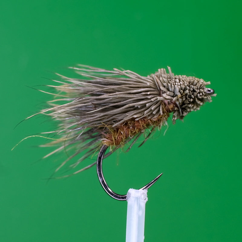 Streifen von Caddis Olive