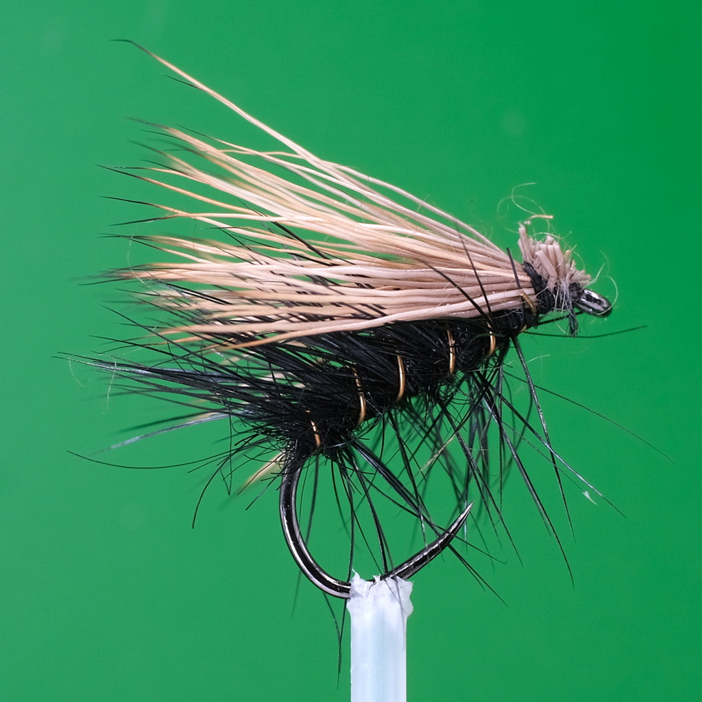 Caddis en cheveux d'élan noir