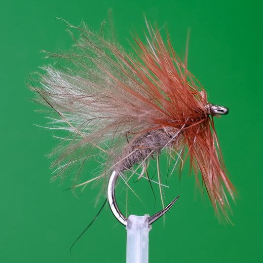 CDC Sedge Brown