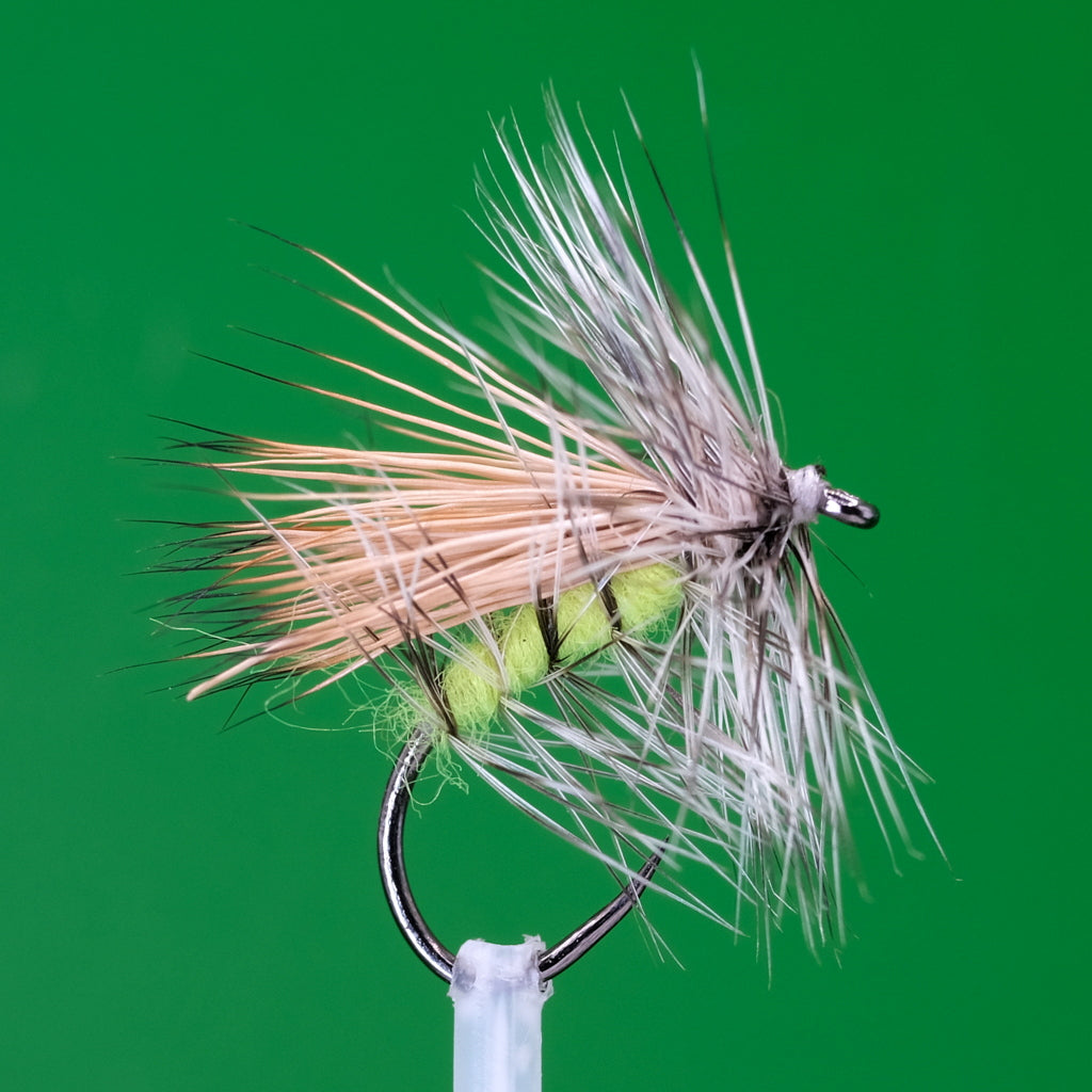 Grizzly Caddis flottant