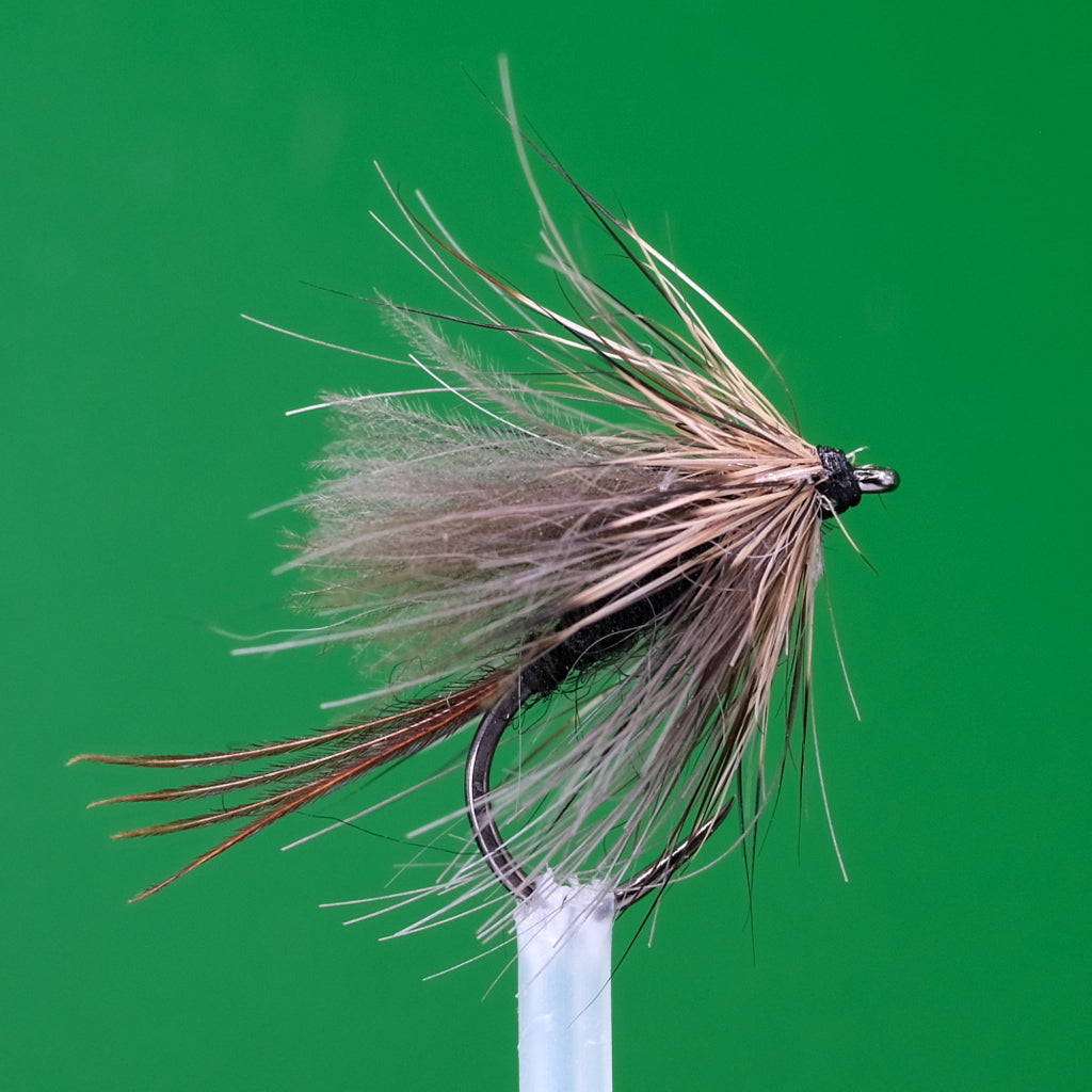 Black Scruffy CDC Sedge