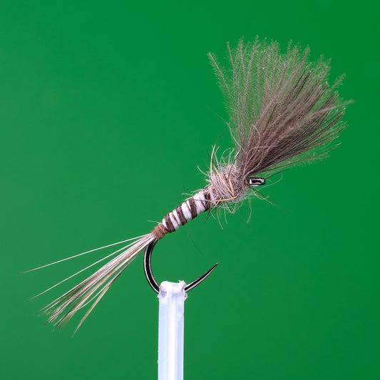 Natural Stripped Quill CDC Mayfly