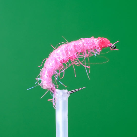 Glister Krewetki Różowe