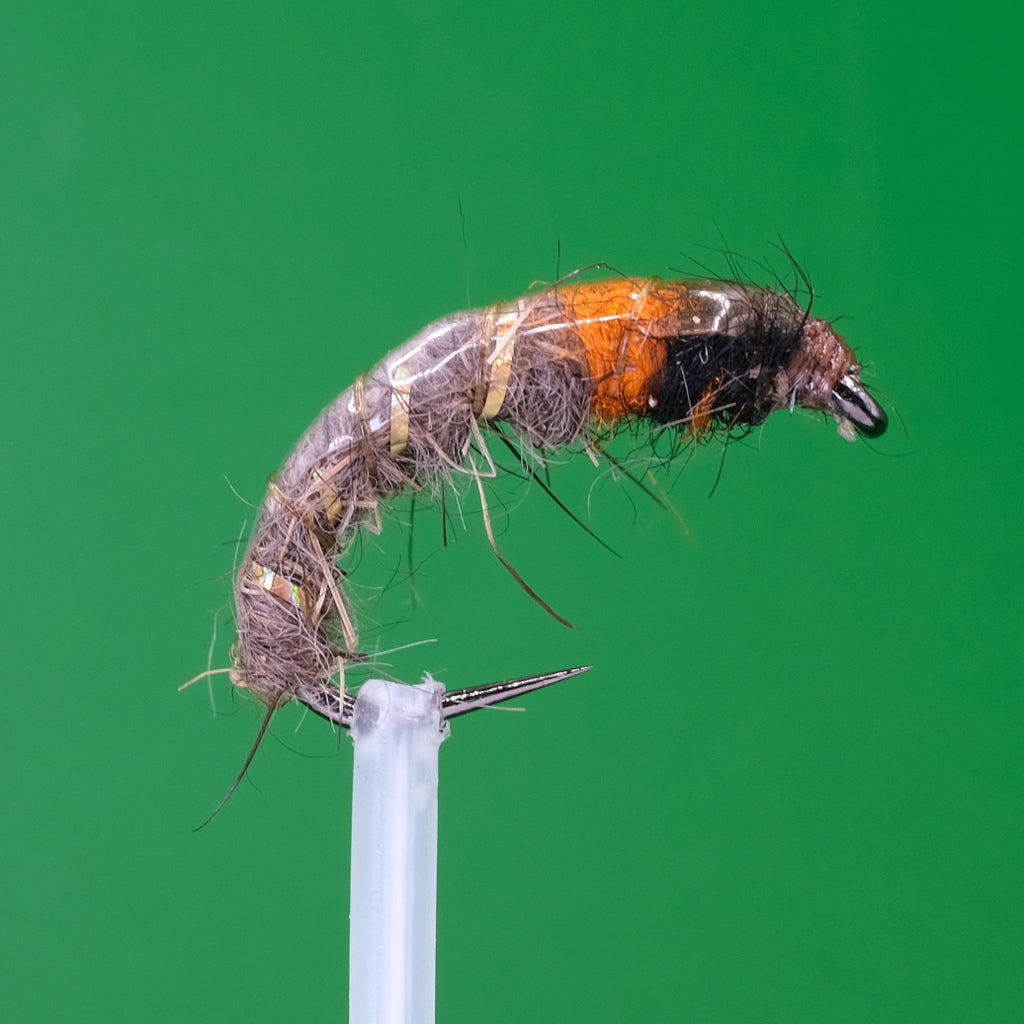 Czeska nimfa pomarańczowa Hot Spot Ucho zająca