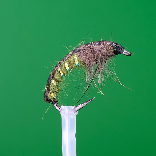 Czech Nymph Olive