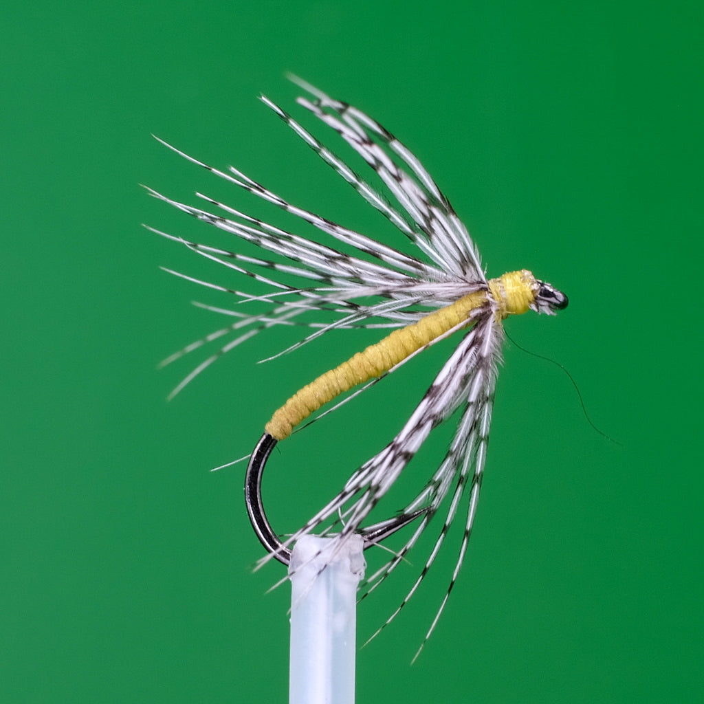 Fluorescencyjny żółty pająk